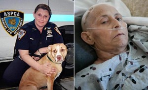 Diane_ DiGiacomo_9_11_cancer_victim